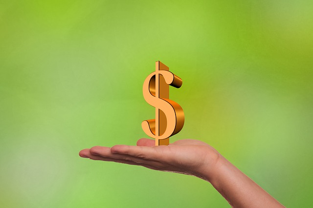 Dolar na dlani
